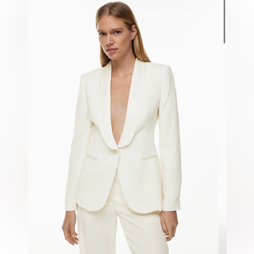 Aritzia Ten by Babaton Intrigue Blazer | Tailored Chic | Sz 2